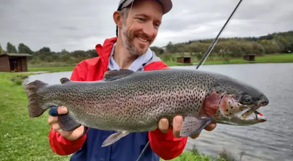 Glücklicher Angler hält stolz einen großen Regenbogenforelle, ein toller Fang beim LImfjord angeln.