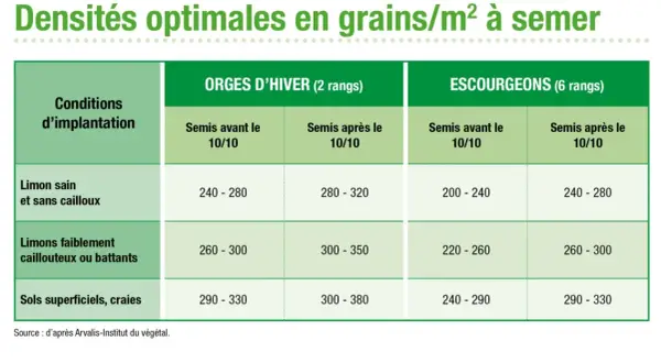 Tableau des densités optimales pour le semis d'orge d'hiver et d'escourgeon, selon les conditions d'implantation et la date de semis.