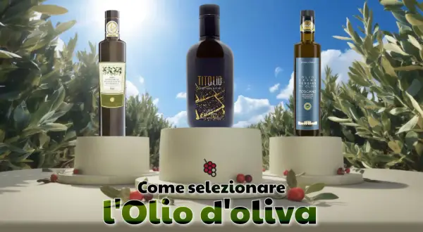 Tre bottiglie di olio di oliva vergine, su piedistalli, con testo "Come selezionare l'Olio d'oliva".