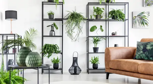 Co postawić na półce w salonie? Odkryj sekrety perfekcyjnej aranżacji.