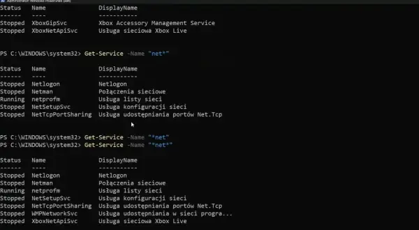 Wiersz poleceń PowerShell wyświetla listę usług sieciowych, w tym "netprofm" w stanie "Running".