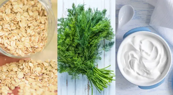 Haferflocken, Dill und Joghurt: Lebensmittel, die den Darm beruhigen und für Wohlbefinden sorgen.