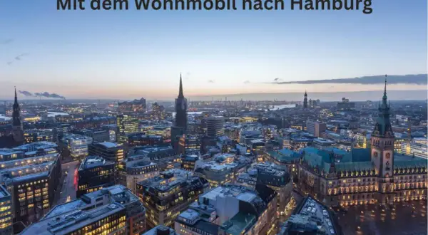 Hamburg im Sommer bei Dämmerung, beleuchtete Stadtansicht mit Rathaus und Elbphilharmonie.