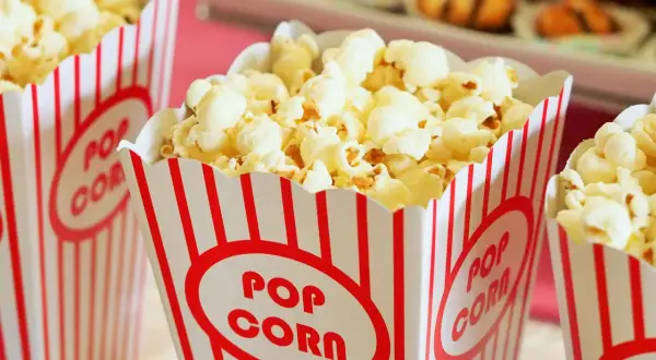 Pyszny popcorn w kubeczkach. Zastanawiasz się, czy pies może jeść popcorn? Unikaj solonych i maślanych wersji dla swojego pupila.