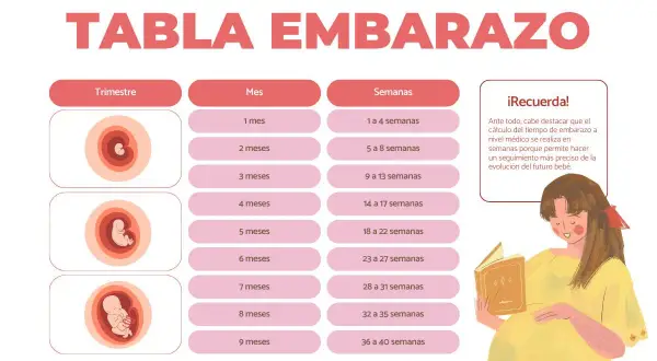 Tabla de embarazo que muestra cuántas semanas tiene un embarazo, desde 1 mes (1-4 semanas) hasta 9 meses (36-40 semanas).