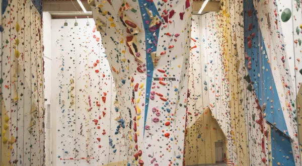 Bunte Griffe zieren die hohen Wände einer 2t Kletterhalle. Ein Paradies für Kletterfans, das zum Erklimmen einlädt.