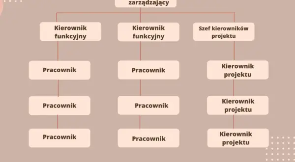 Schemat przedstawia strukturę organizacyjną firmy z dyrektorem zarządzającym na czele, kierownikami funkcyjnymi i szefem kierowników projektu.
