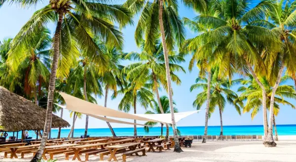 Rajska plaża z palmami i ławkami. Idealne miejsce na wakacje, kiedy jechać na Dominikanę?