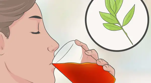 Donna beve una bevanda rossa, con un rametto di foglie verdi in un cerchio. Un aiuto per come digerire velocemente.