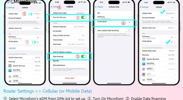 Configuration d'un esim instantané : activer la ligne, activer l'itinérance des données, puis sélectionner l'eSIM MicroEsim.
