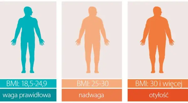BMI 28 co to znaczy? Sprawdź, jakie niesie zagrożenia zdrowotne