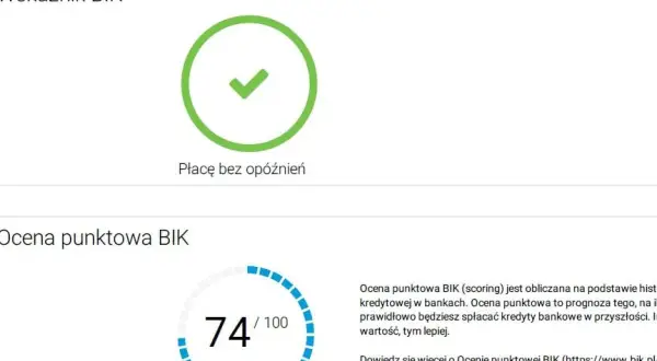 Wskaźnik BIK z zielonym zaznaczeniem i informacją "Płacę bez opóźnień". Poniżej ocena punktowa BIK 74/100.