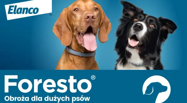 Obroża Foresto czy tabletki - co wybrać dla swojego psa?