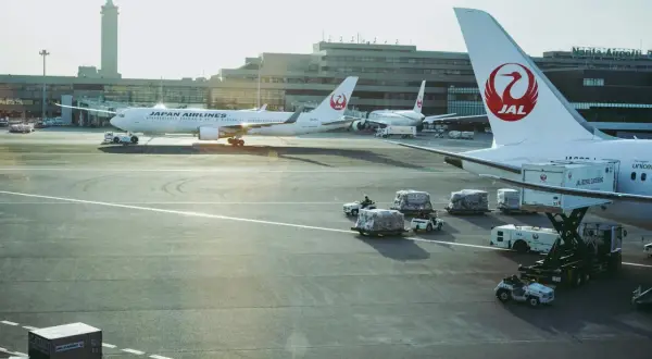 Samoloty Japan Airlines na lotnisku w Japonii. W tle budynki terminali i wieża kontroli lotów. Na płycie lotniska widać obsługę naziemną i ładunki.