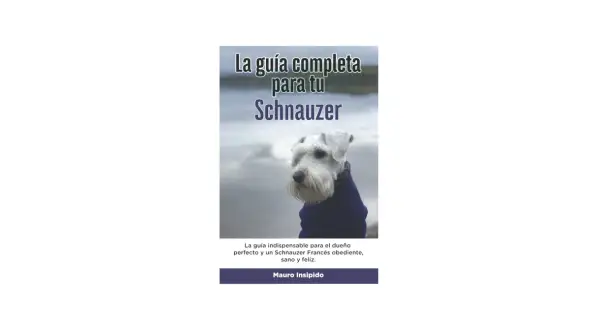 Un schnauzer mediano con un abrigo azul, posando para la portada de un libro sobre cómo ser un dueño perfecto.