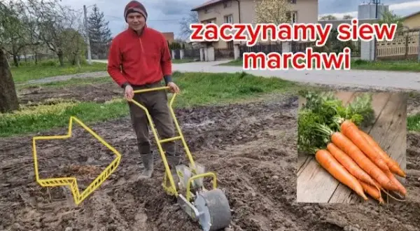 Jak zrobić redliny na działce - uniknij błędów i stwórz idealne rzędy