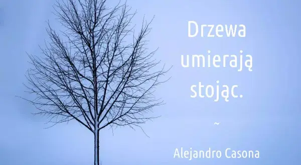 Drzewa umierają stojąc. Cytat z wierszy o drzewach znanych poetów, Alejandro Casona.
