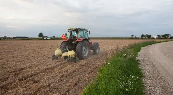 Czerwony traktor wykonuje głęboszowanie na polu. W tle widać drogę i drzewa.