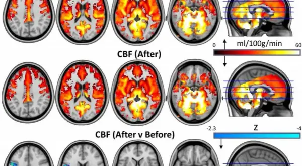 Psylocybina na depresję: Czy "resetuje" mózg? Badania i prawo