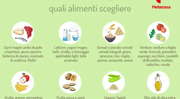 Guida agli alimenti per la massa magra ideale: carni magre, latticini, cereali, verdure, frutta, frutta secca, legumi e olio EVO.