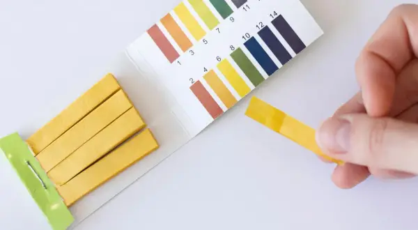 Teststreifen zeigen, wie sieht fruchtwasser aus. Ein gelber Streifen wird mit einer Farbskala verglichen.