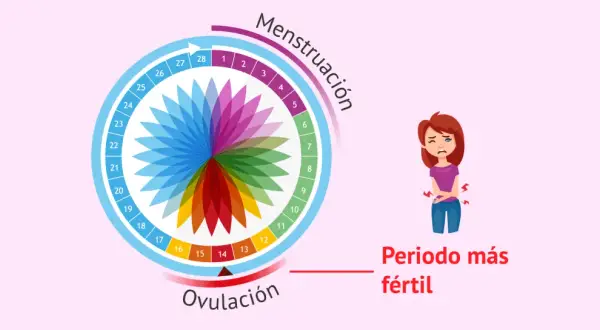 Ciclo menstrual con ovulación marcada. Una mujer se queja de dolor, quizás por el dolor ovulación.