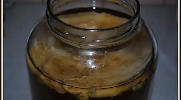 Szklany słój z kombuchą, widoczny SCOBY i płyn.