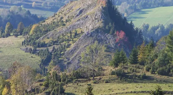 Rezerwat Biała Woda (Pieniny): Przewodnik po atrakcjach i planowaniu