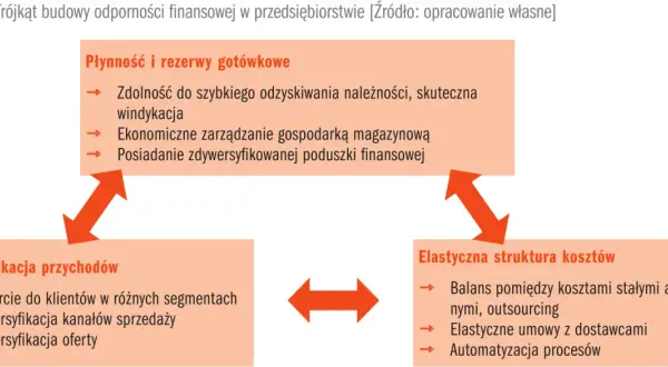 Trójkąt odporności finansowej: Płynność, Dywersyfikacja przychodów, Elastyczna struktura kosztów. Kluczowy jest kapitał zapasowy.