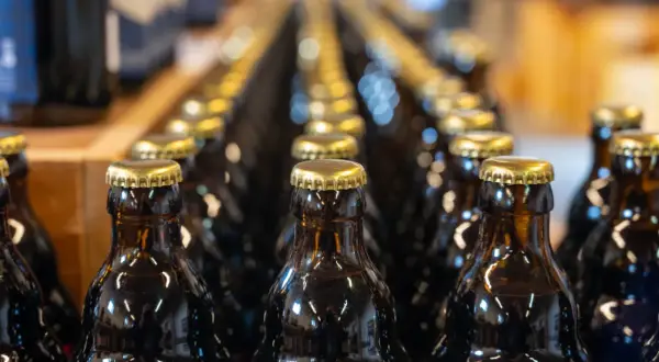 Rzędy ciemnych butelek z złotymi kapslami. Czy kwas chlebowy ma alkohol? To pytanie nurtuje wielu, a te butelki mogą zawierać odpowiedź.