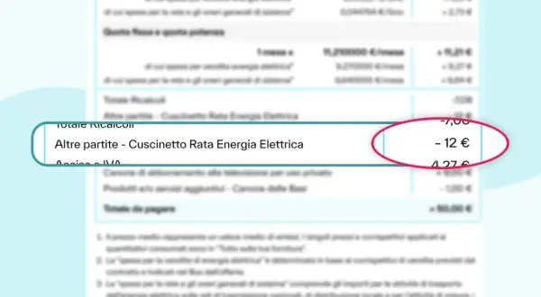 Dettaglio bolletta luce: "Altre partite - Cuscinetto Rata Energia Elettrica" con un costo di -12 €.