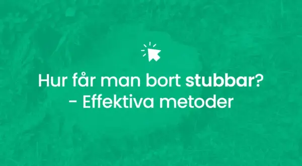 Hur får man bort stubbar? Effektiv metod för att ta bort stubbar.