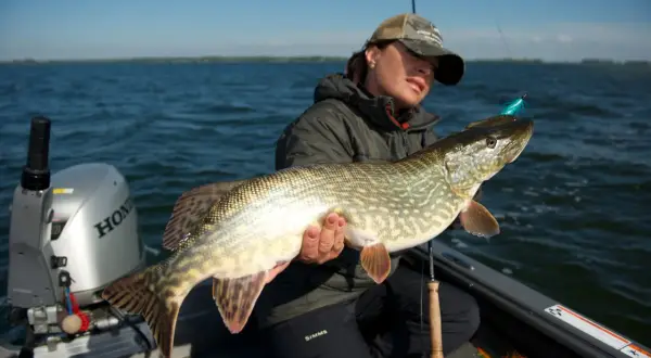 Fischerin hält stolz einen großen Hecht mit Kiemengriff. Das Raubfisch-Motiv zeigt die Freude am Angelerfolg auf dem Wasser.