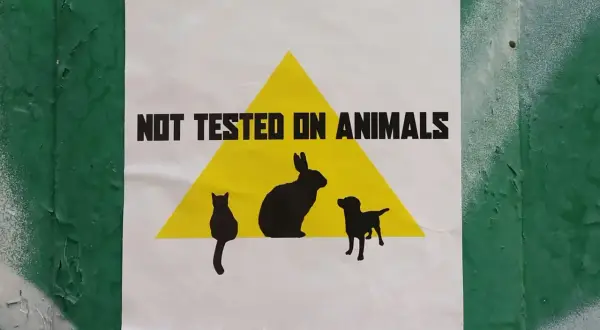 Plakat z napisem "NOT TESTED ON ANIMALS" i sylwetkami zwierząt. Wybieraj kosmetyki nietestowane na zwierzętach.