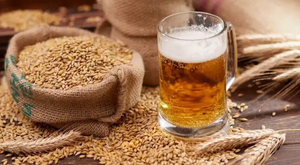 Boccali di birra dorata e sacchi di malto d'orzo, ingredienti essenziali per decidere se la birra è meglio alta o bassa fermentazione.