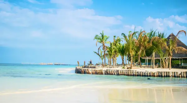 Ile trwa lot z Polski do Zanzibaru? Czas lotu, który zaskoczy każdego