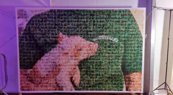 Pamiątkowe zdjęcie z wielu mniejszych fotografii tworzy obraz świni. Napis "GOODVALLEY" widoczny jest na tle zieleni.