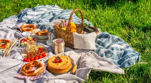 Picknickdecke mit Brezeln, Obst, Kuchen und Säften. Ein perfekter Tag für ein Picknick im Grünen.