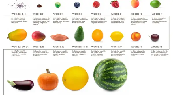 24 ssw welcher monat? Ihr Baby ist so groß wie eine Papaya und kann Ihre Stimme hören.