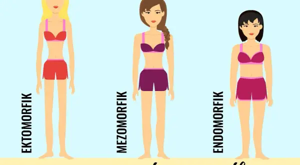 Trzy typy sylwetki: ektomorfik, mezomorfik, endomorfik. Znajdź swój typ!