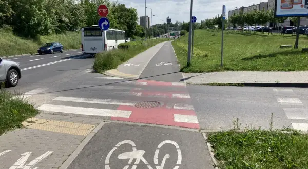 Pieszy na ścieżce rowerowej czeka na zielone światło, by przejść przez pasy. Obok droga z autobusem i samochodami.