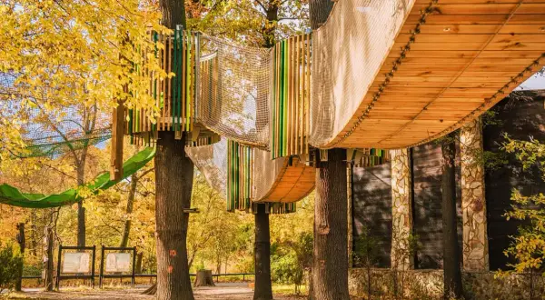 Drewniane kładki i siatki tworzą ścieżki w koronach drzew. Jesienny park linowy we Wrocławiu zaprasza do zabawy.