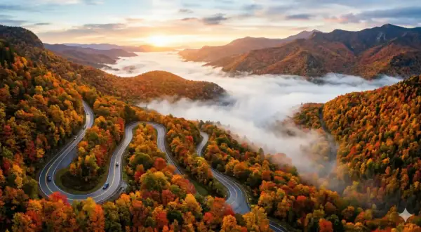 Winding mountain road through vibrant autumn foliage, with a sea of fog below. The scene has a beautiful bokeh no blur effect, capturing the crisp details of the fall colors.