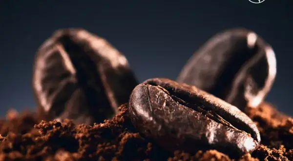 Chicchi di caffè tostati su polvere, un'immagine che evoca il miglior caffè al mondo.