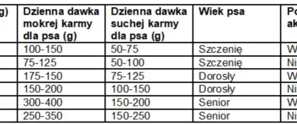 Ile karmy dla psa? Ekspert radzi: dawkowanie krok po kroku