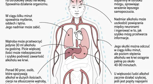 Alkoholizm to choroba psychiczna: Jak niszczy mózg i jak leczyć?
