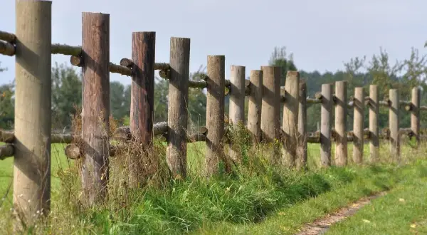 Drewniane słupki tworzą pełne ogrodzenie od sąsiada, oddzielając zieloną łąkę od drzew.