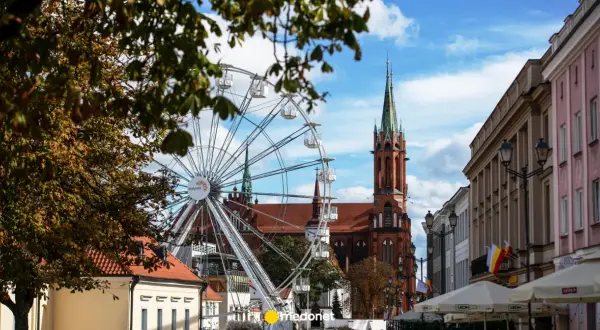 Ile lat żyje koń? Poznaj fakty i sekrety długowieczności