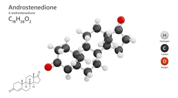 Model cząsteczki androstendionu (C₁₉H₂₆O₂) z atomami węgla, wodoru i tlenu.