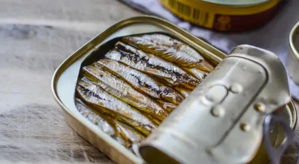 Sardines à l'huile dans leur boîte ouverte, prêtes à être dégustées. Un aperçu pour savoir comment faire des sardines à l'huile.
